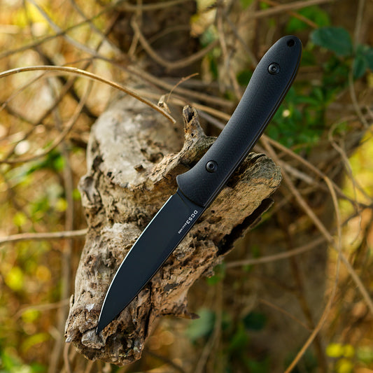 FORESAIL Small Fixed Blade Knife,3.27 inch DC53 Steel Blade and G10 Handle,with Kydex Sheath,Fixed EDC Tactical Knife for Men Women,Outdoor Hiking Camping Knives